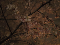 春の足音