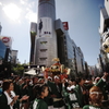 渋谷の真ん中のいなせ