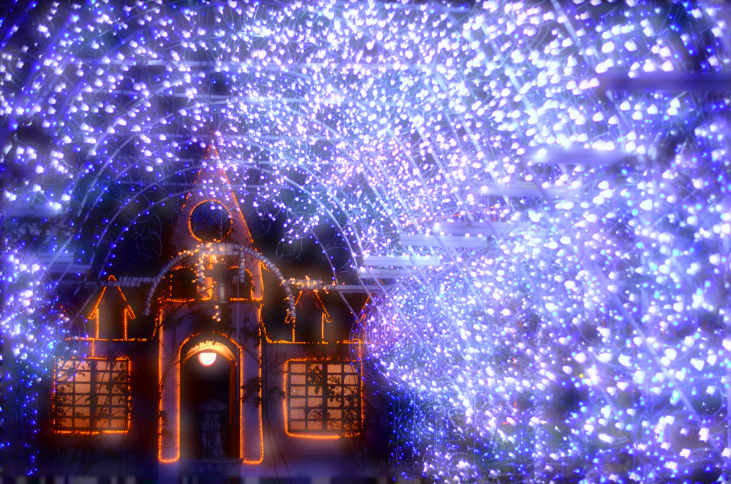 illumination DSC_3428
