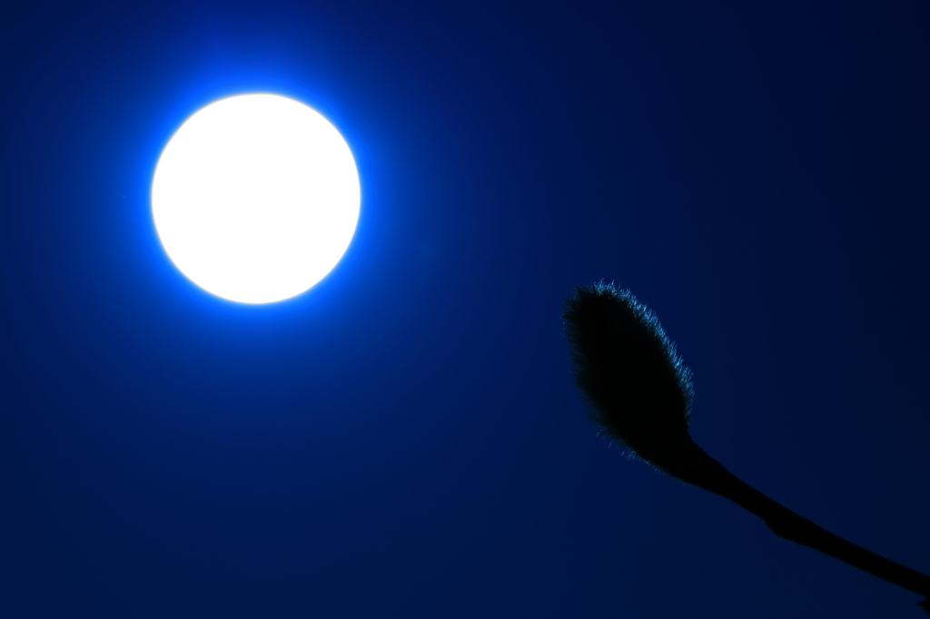 月夜．．．