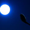 月夜．．．