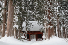 雪樹の神殿