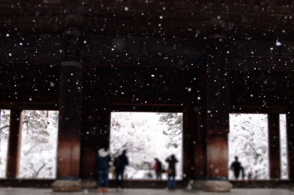 in snow