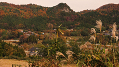 晩秋の里山