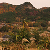 晩秋の里山