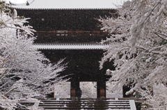 南禅寺に降る雪