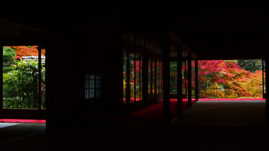 天授京艶