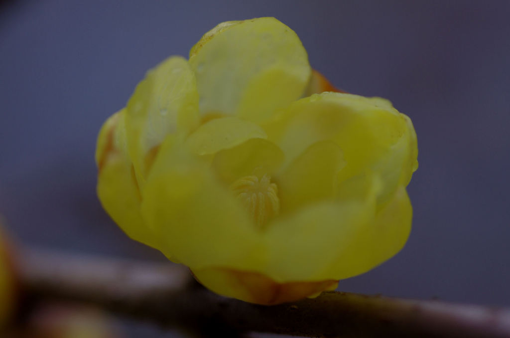 20120123_012