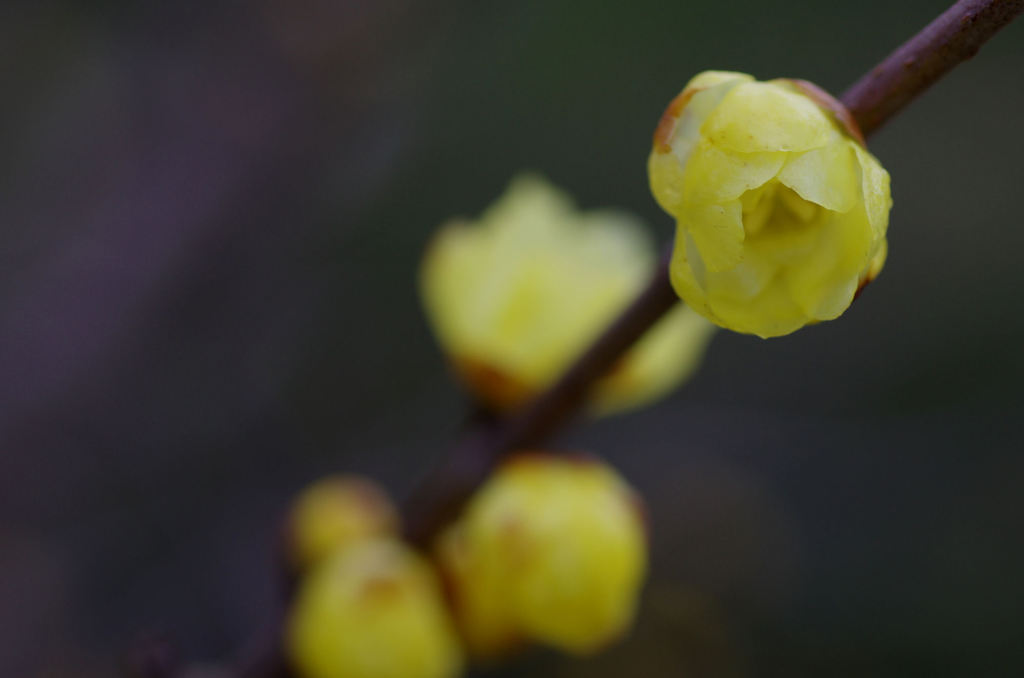 20120123_005