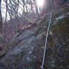 Neighborhood　Mountain