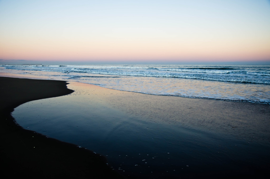 water's edge