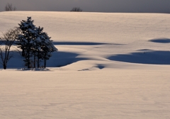 雪丘の風紋