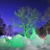 氷点下の森