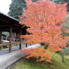 東福寺