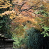 竜安寺　小道
