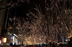 仙台　定禅寺通り　冬　（復興の灯り）