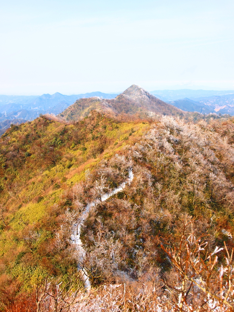 鮮やかな冬の山道