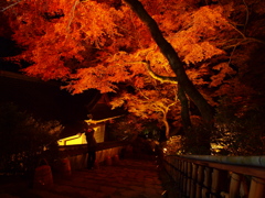 夜を紅く染める