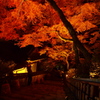 夜を紅く染める