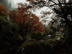 秋雨降る渓谷