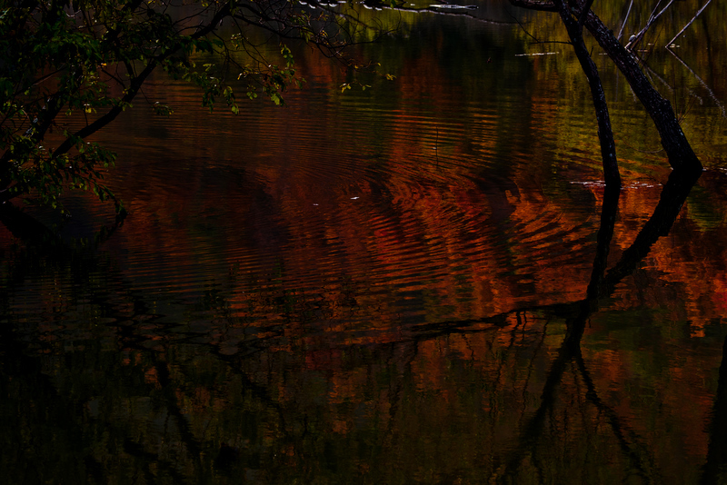 Like the oil painting