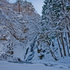 峨瓏の滝・2012冬（豪雪）