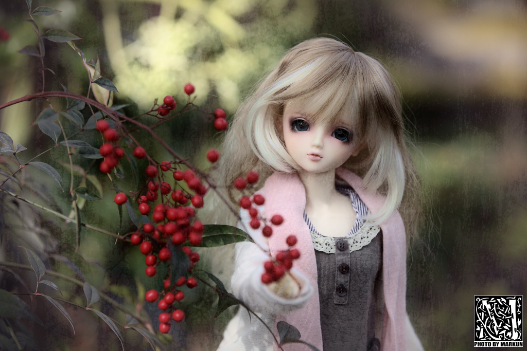 冬の庭の赤い実