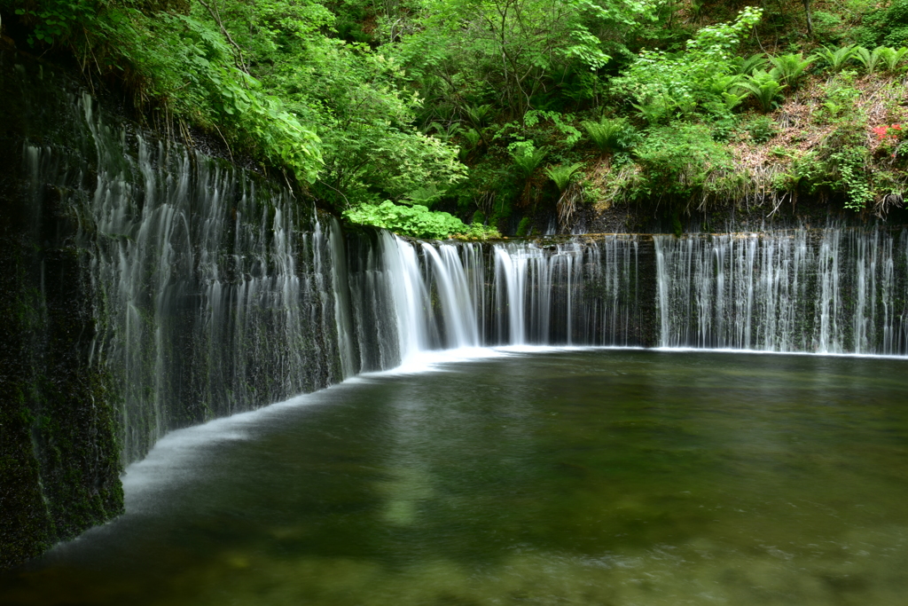 白糸の滝