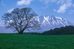 ふるさとの山に向ひて