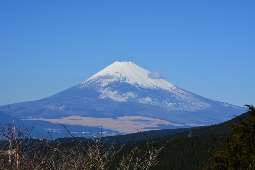 富士山