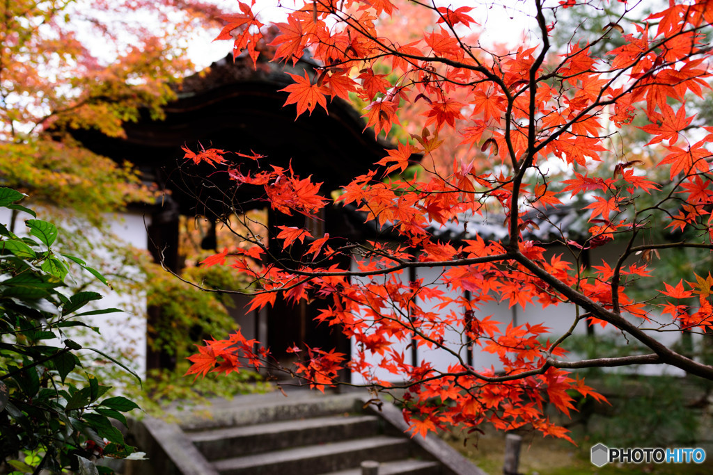 Shūon-an "Ikkyuji temle"