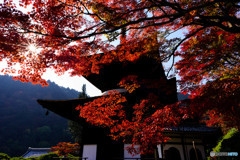 善峯寺2017 02