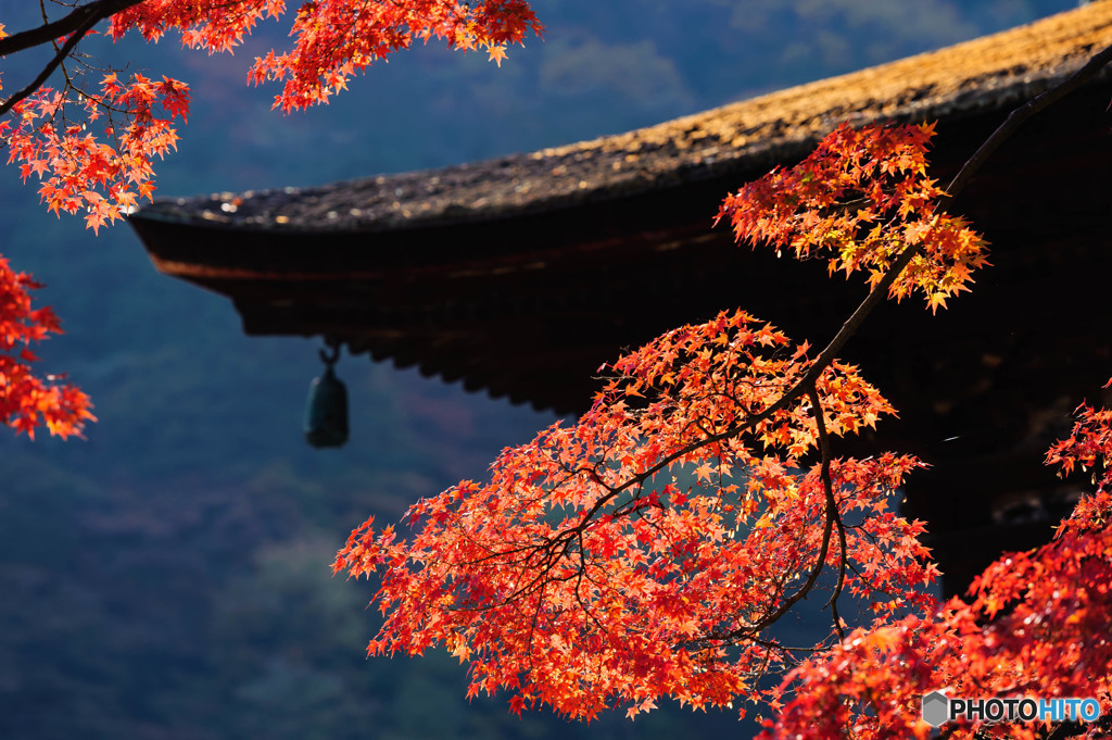 善峯寺2017 03