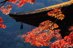 善峯寺2017 03