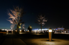 夜の”象の鼻パーク”