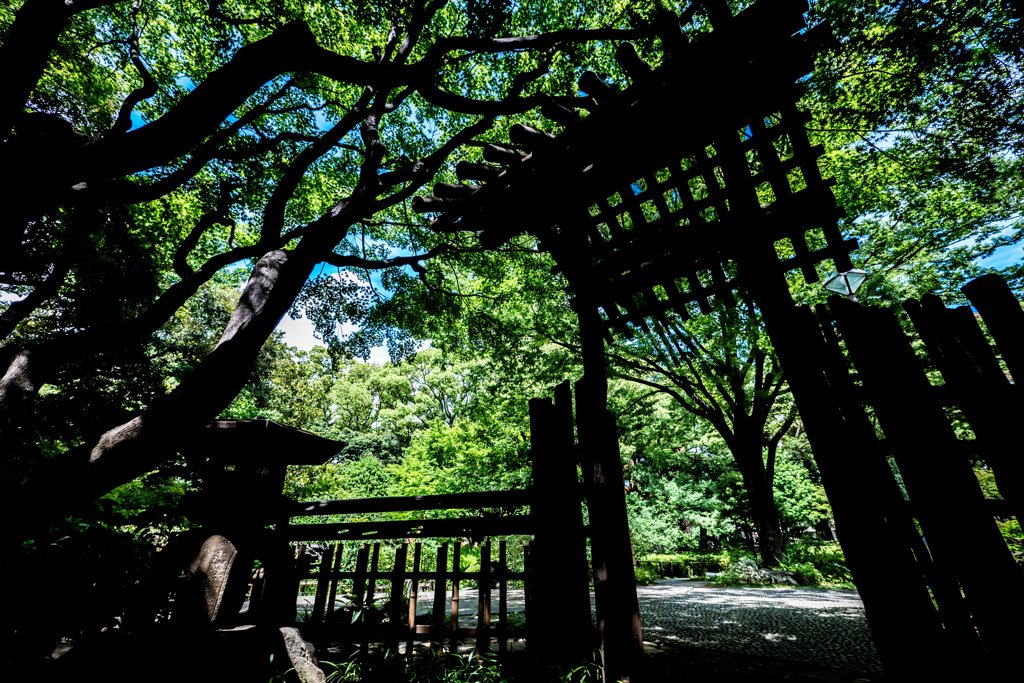 灼熱＠彼我庭園（横浜公園）