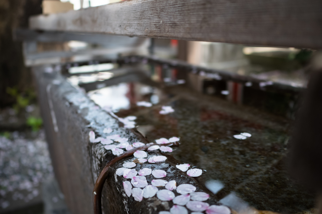 宴の後で＠元町嚴島神社