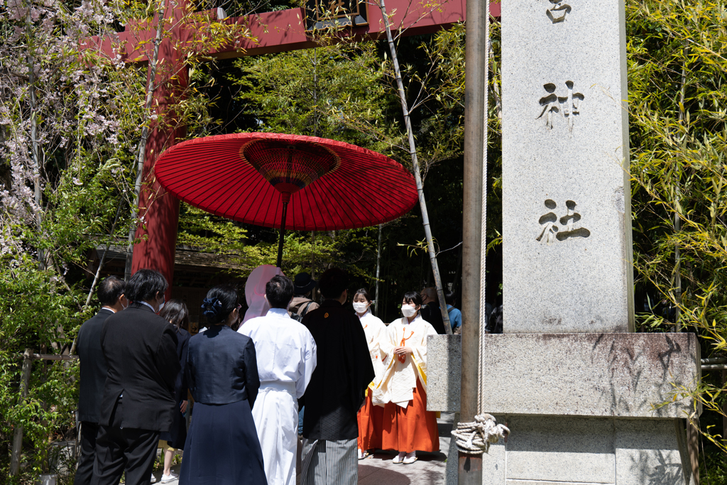 熱海　来宮神社にて