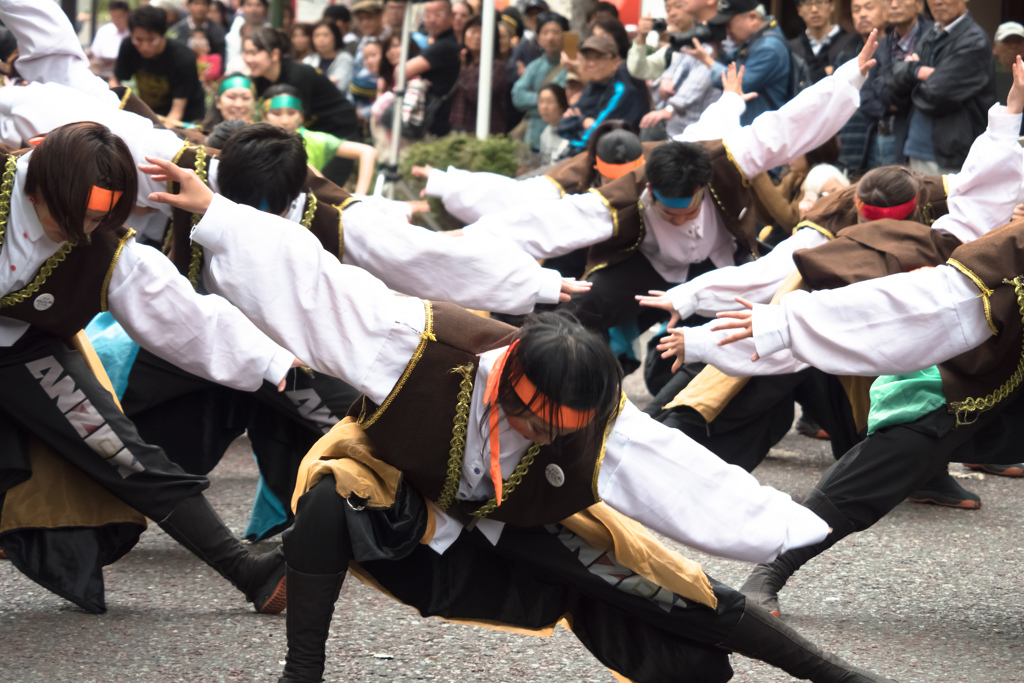 横浜よさこい祭