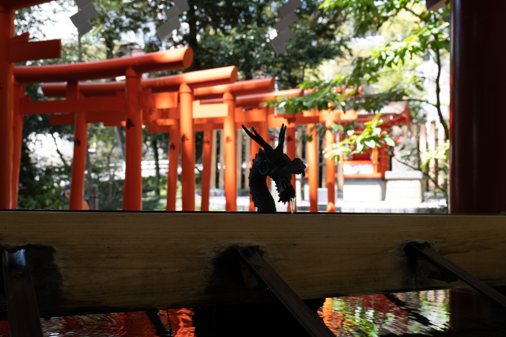 龍と鳥居＠来宮神社　熱海