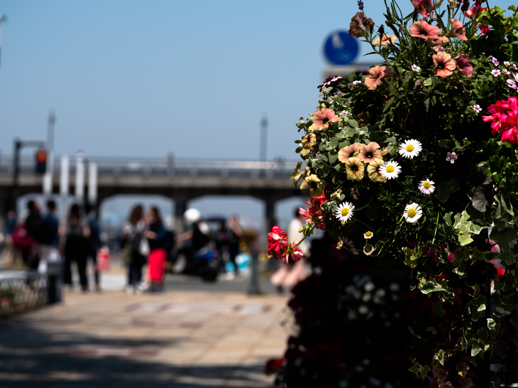 花のある港町の片隅で