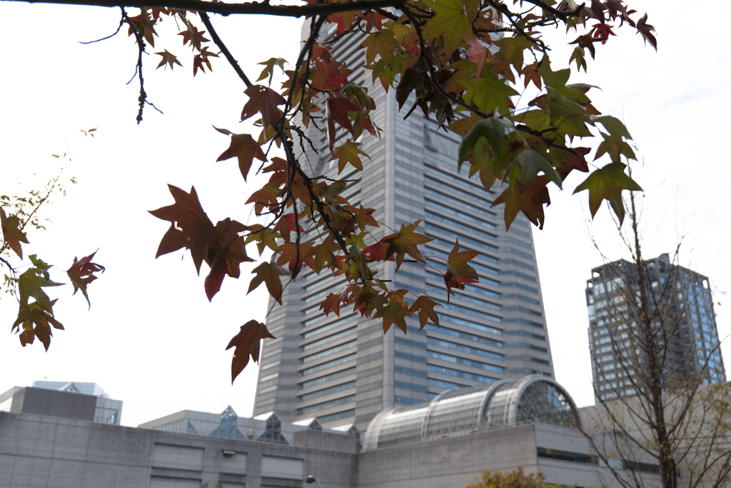 ランドマークタワー