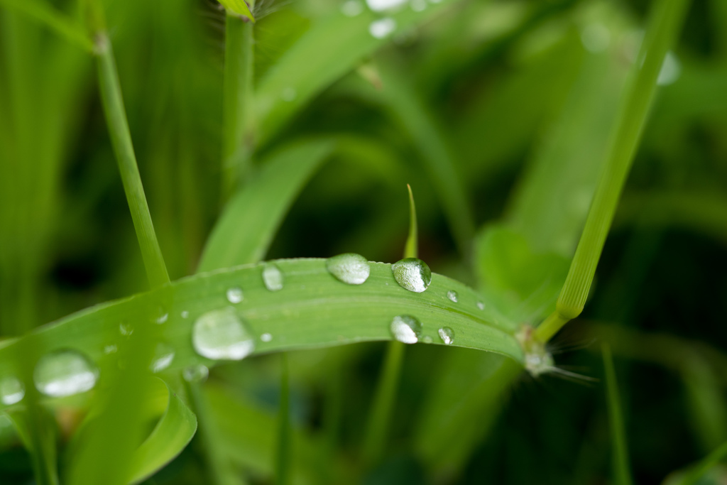 雨上がりの公園で