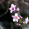 陽気に誘われて