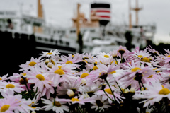 花と客船