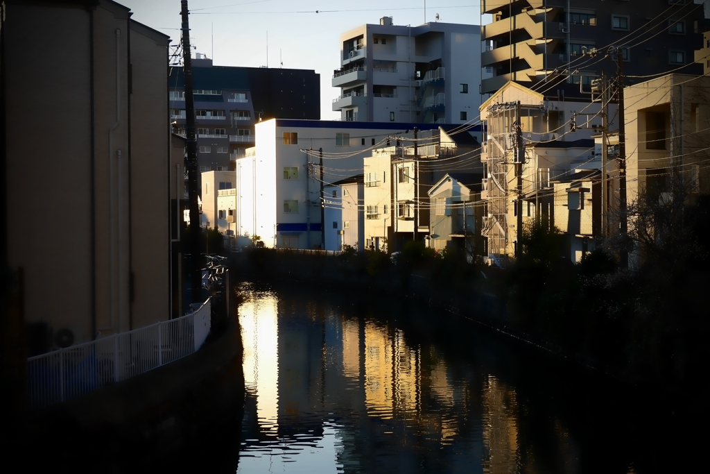 冬の朝