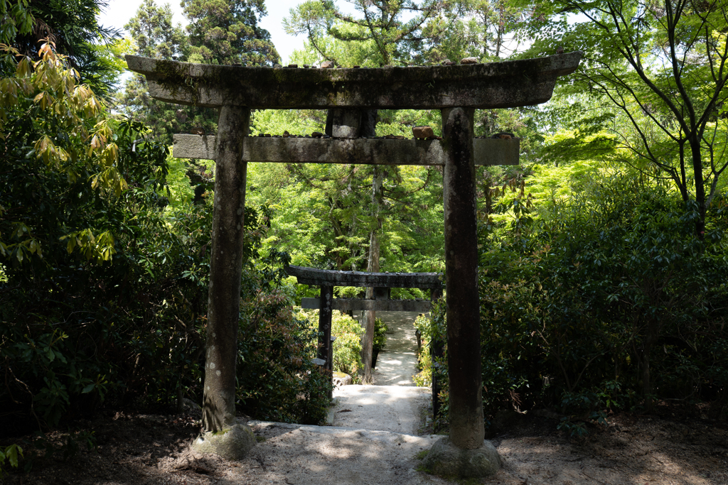 宮島　弥山　ロープウェイへ向かう山道　