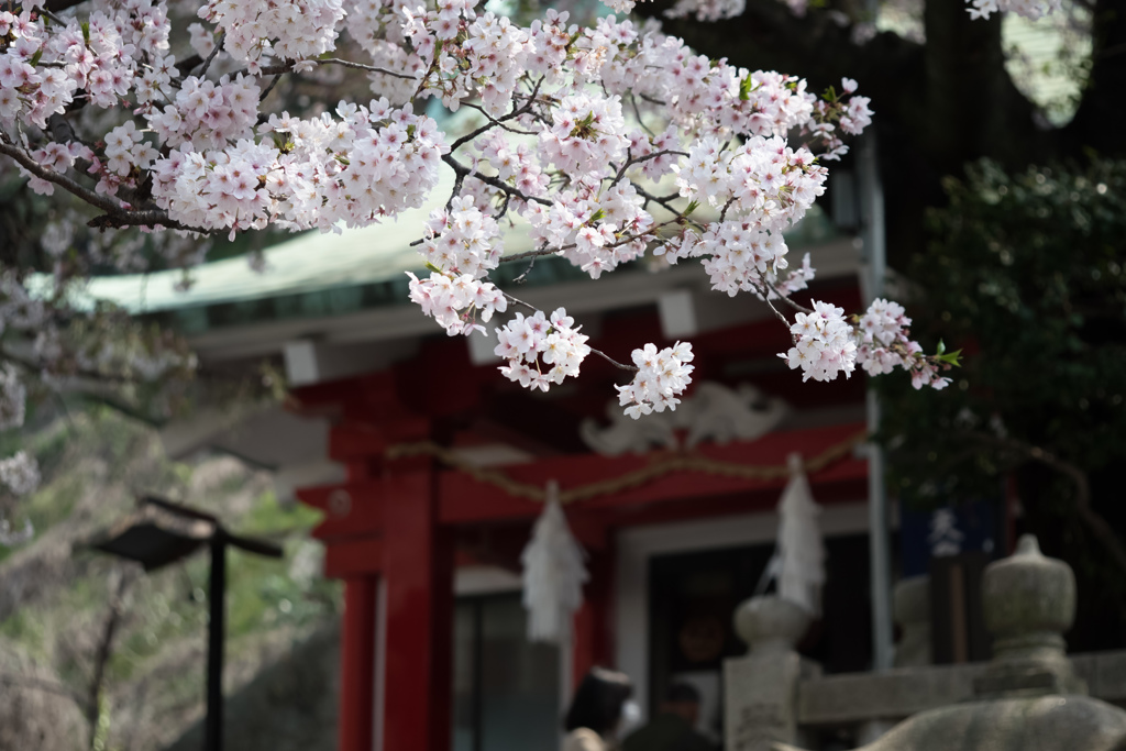 天女＠元町嚴島神社
