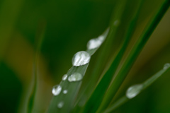 続 雨上がりに