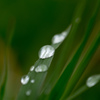 続 雨上がりに